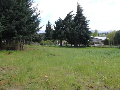 Ñandu 100