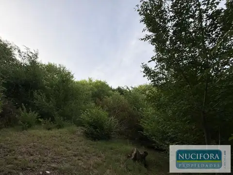 Terreno en Venta de 816,0 m2