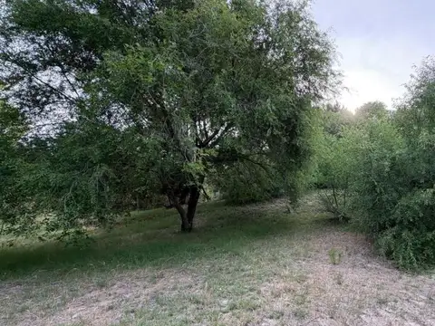 Terreno en Venta 40  mts Fondo