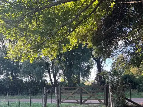 Quinta en Venta en Guanaco, USD 75.000