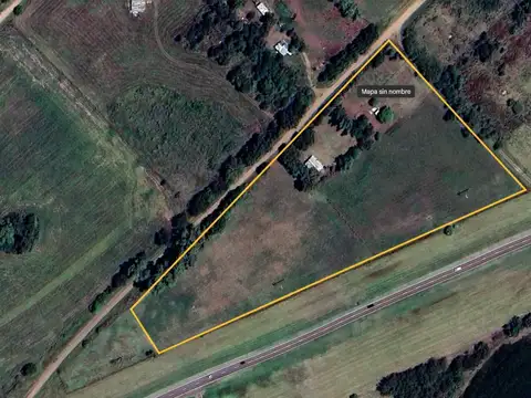 Guanaco ruta nacional 5 100