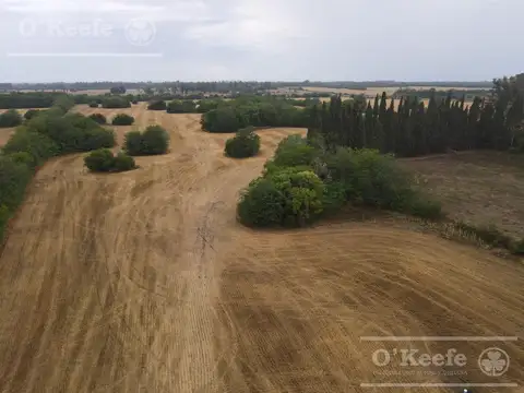 80 has en Gualeguay Entre Rios Agricola  con casco histórico