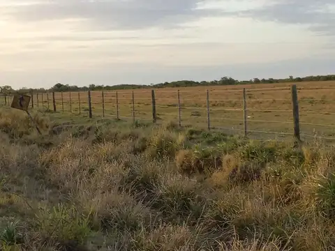 Campo en Venta de 97  ha