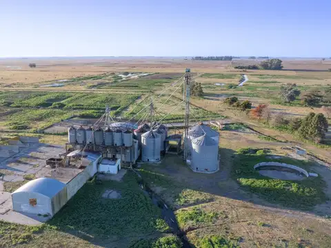 Feedlot en venta 102ha Las Flores