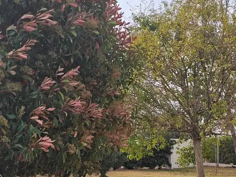 LAS MARGARITAS 2200, Piso 0