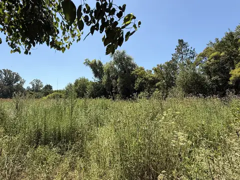 Terreno en Venta de 6050,0 m2