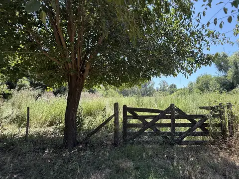 Terreno en Venta de 6050,0 m2