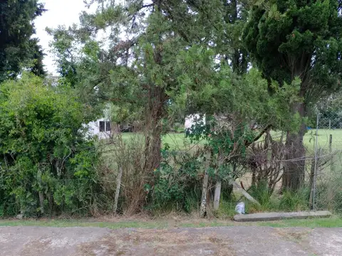 Terreno en Venta de 600,0 m2