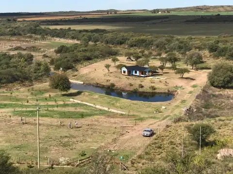 Casa - Venta - Argentina, Juana Koslay