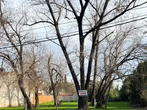 Lote Terreno en Venta - Moreno