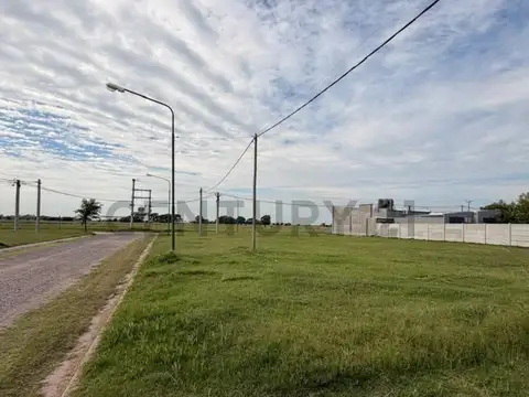 Rio Negro 700