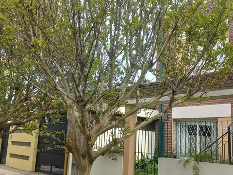 General Laguna 600, Piso 1