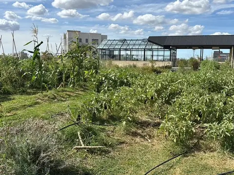 Terreno en Venta de 843,0 m2