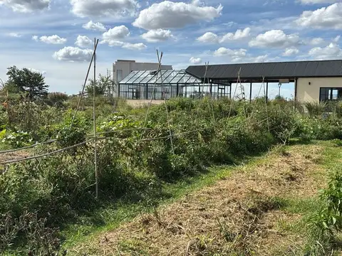 Terreno en Venta en San Lucas, USD 32.900