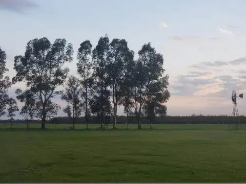 Terreno en venta - 1000Mts2 - General Rodríguez