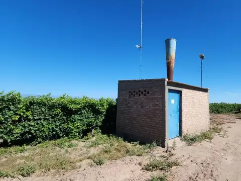 Rivarola