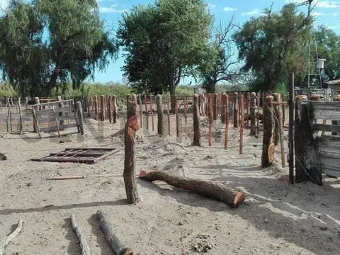 CAMPO EN VENTA EN SAN RAFAEL
