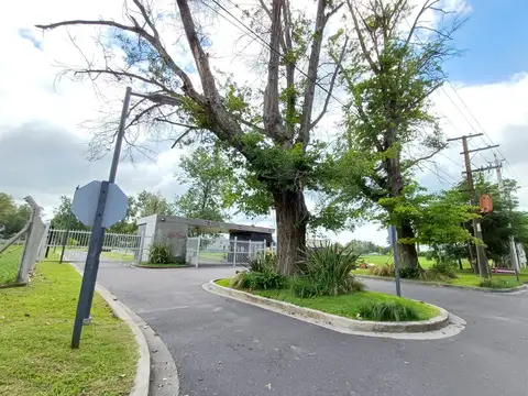 LOS CARDALES B° MATISSE