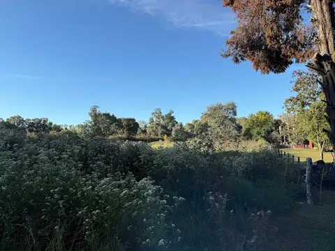 VENTA DE LOTE PARADA DE ROBLES