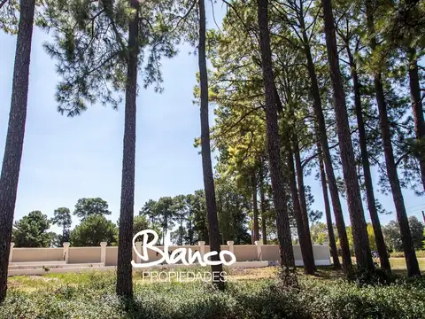 Lote en Venta en Pinares CC, Exaltación de la Cruz, G.B.A. Zona Norte