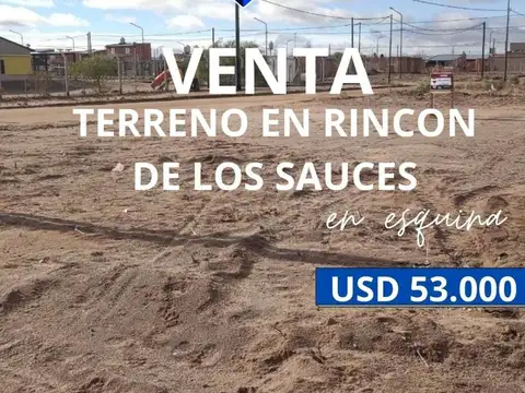 VENTA DE TERRENO EN ESQUINA RINCON DE LOS SAUCES