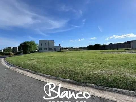 San Sebastian - Area 6 -