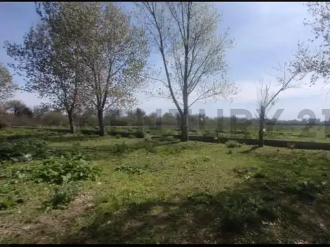 Chacra de 5 hectáreas sobre Ruta 63 – Dolores, Provincia de Buenos Aires