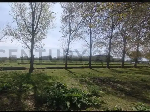 Ruta Provincial 73 100, Piso 0