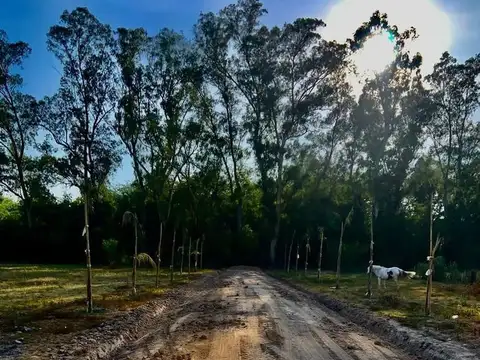 Maximo Paz  Y Finisterre