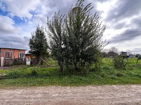 Calle Haras Malal Hue 300