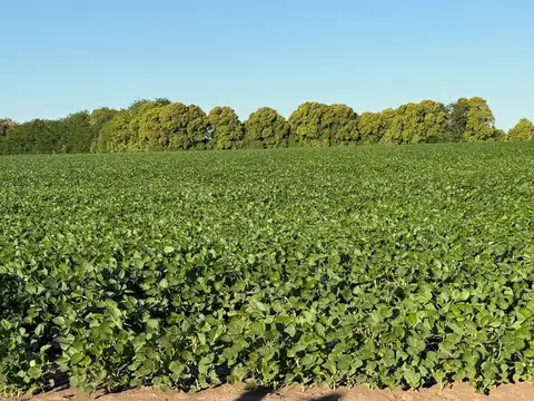 Campo en Venta de 104  ha