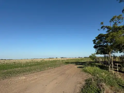 Campo en Venta de 107  ha