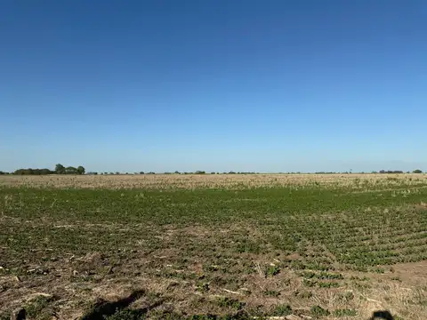 Campo en Venta con Alambrado