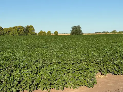 VENTA 104 has EN BARADERO