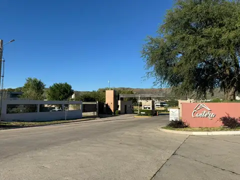 Lorenzo Vargas 100