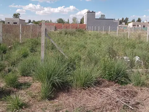 Terreno en Venta en Villa Elisa, USD 19.000