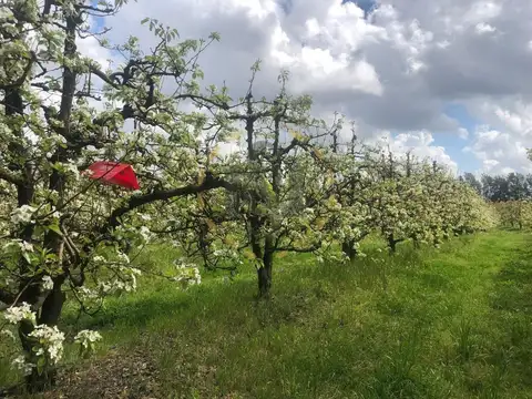 Terreno en Venta en Atlantida, USD 1.270.000