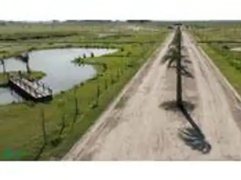 Acceso a Plomer