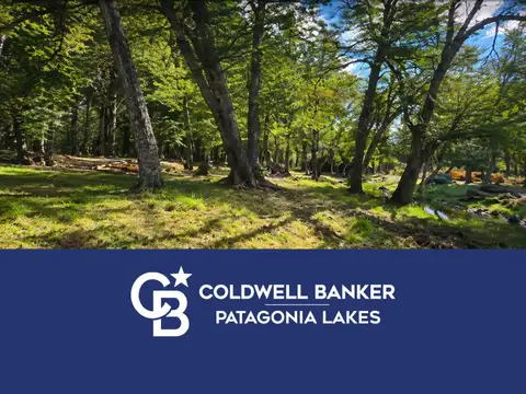 VENTA Terreno de 9300 m2 UF 12, en Caleufú. San Martin de los Andes.