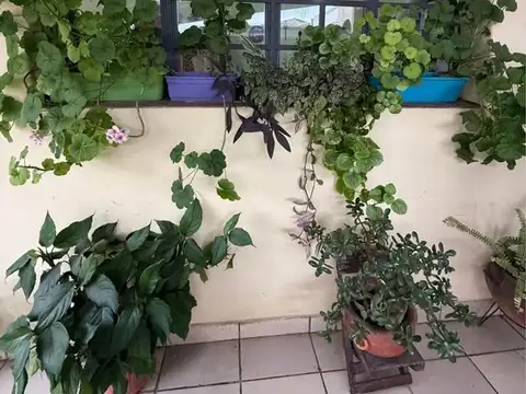Casa en Venta con 4 cocheras
