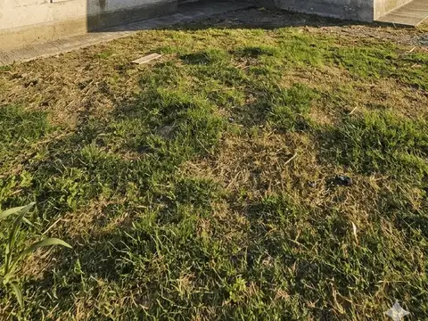 Tierra Mia 100