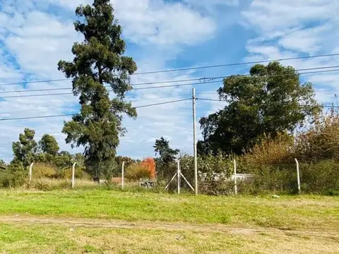 Camino de Cintura 4200