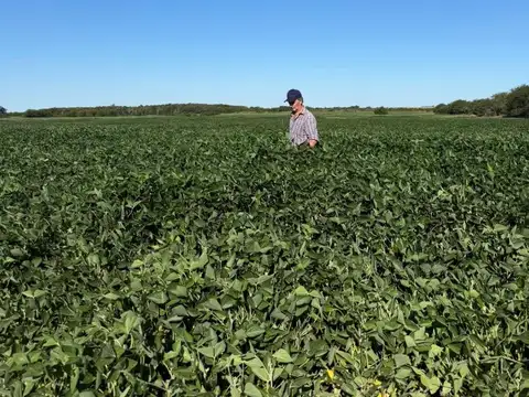 Campo en Venta de 36  ha