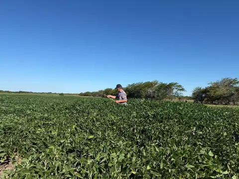 36 Hectareas Agrícolas En Maciá