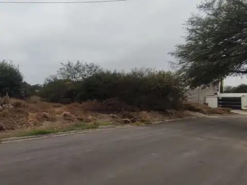 Calle Acuario Zona Oeste