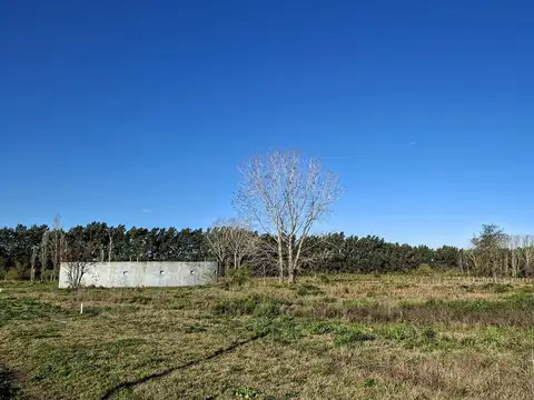 Excelente lote de 2.800 m2 en venta en Los Cardales rodeado de Barrios Cerrados