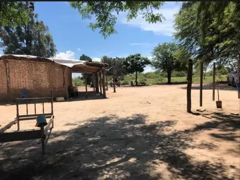 Campo en Venta Ganadero