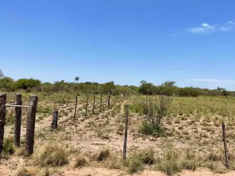 Campo Pinto La Promesa