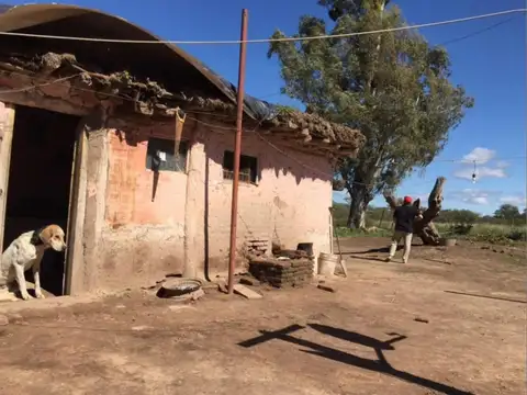 Campo Pinto La Promesa