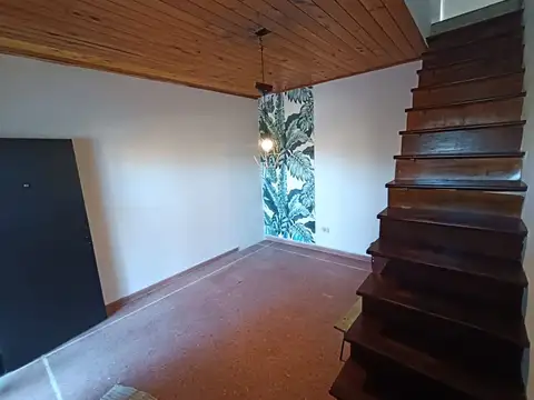 Mario Bravo 100